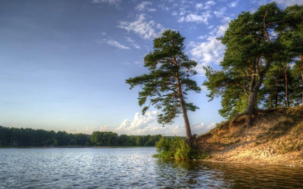 белое озеро беларусь брестская область