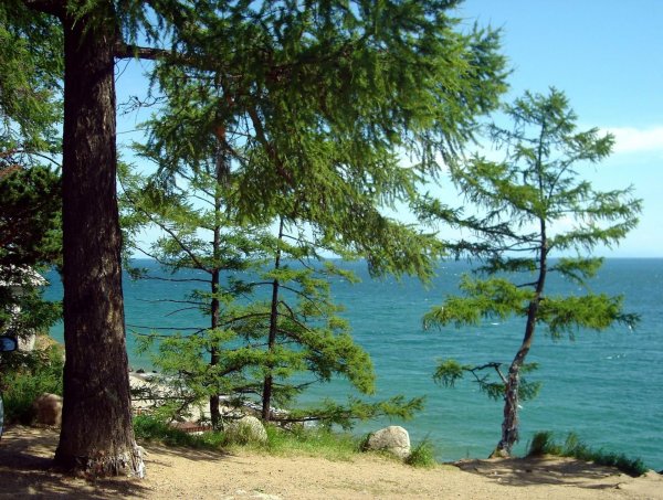 байкал горячинск