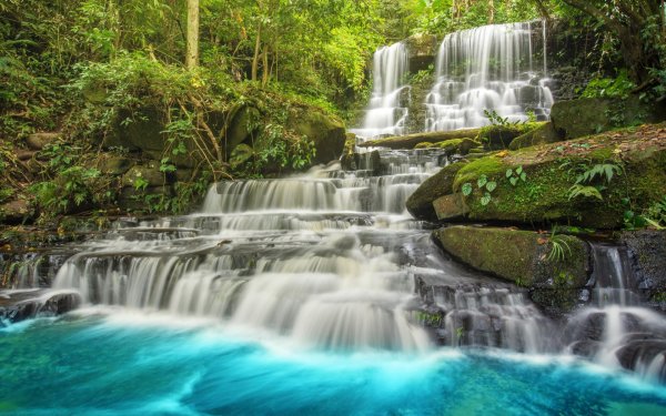 лес с водопадом