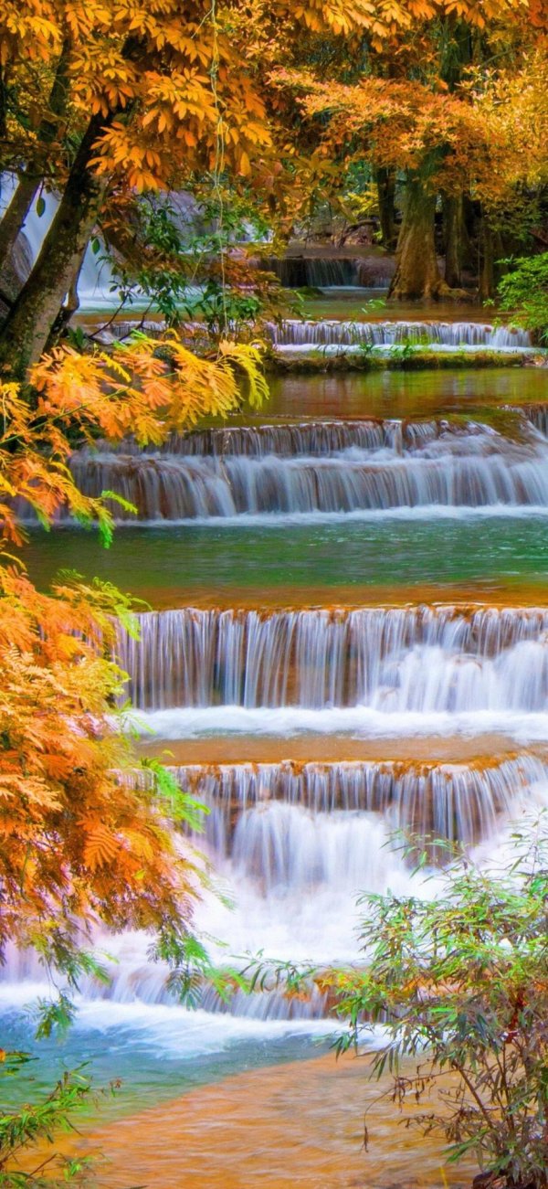 осенние пейзажи