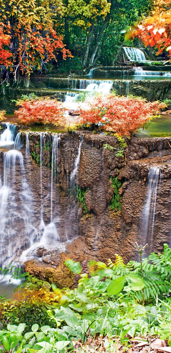 Меняющиеся природа