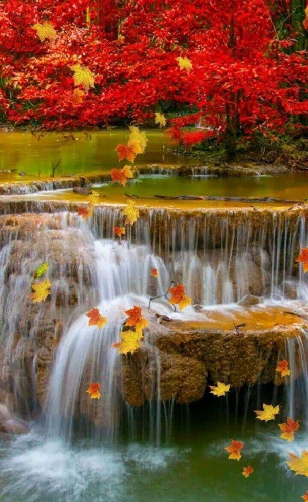 живая природа водопады