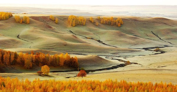 осень в степи