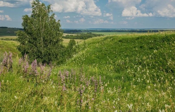 луга татарстана