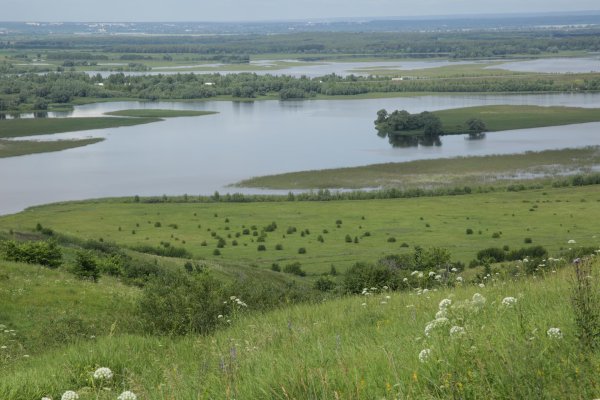птичий полет козловка чувашия