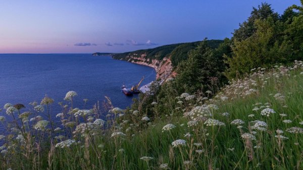 филинская бухта светлогорск