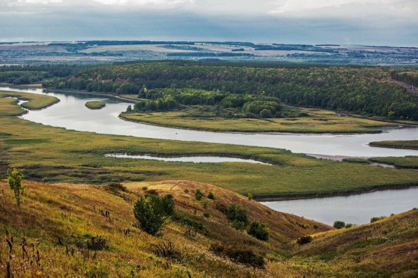 мыс птичий полет козловка чувашия