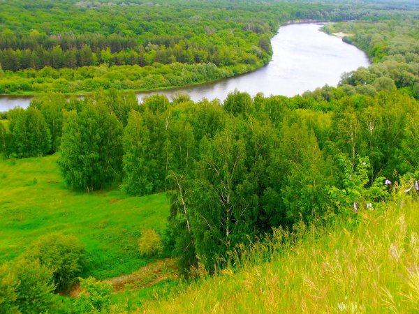 река сура сурский район