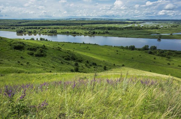 есенин село константиново ока