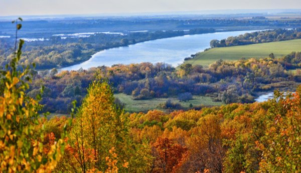 брянск заповедник брянский лес