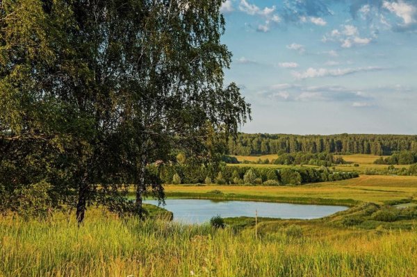 озеро светлояр нижегородская область