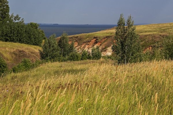 село кучук шелаболихинский район алтайский край
