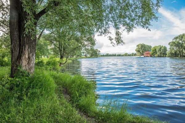 черепетское водохранилище суворов