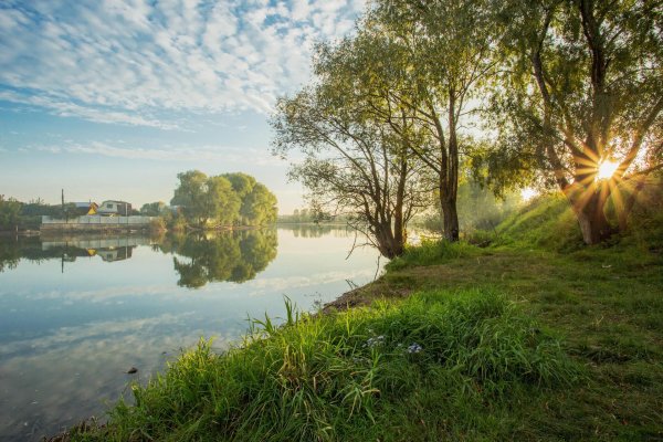 пейзаж река