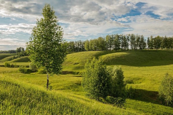 удмуртия холмистая равнина