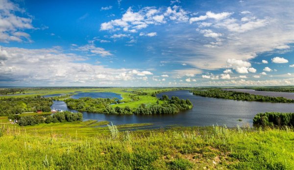 мыс птичий полет козловка