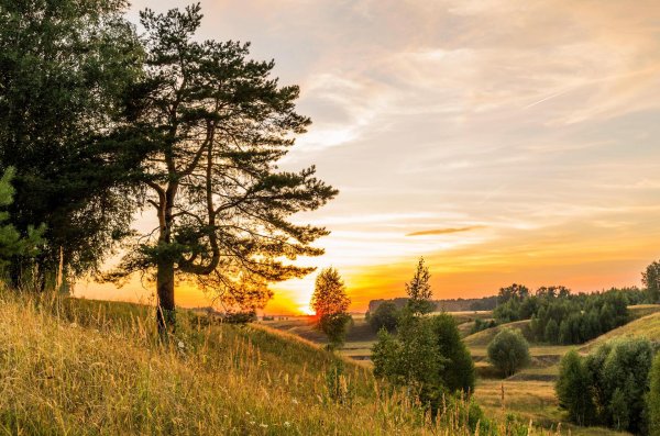 пейзажи лета