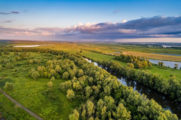 волгоахтубинская пойма