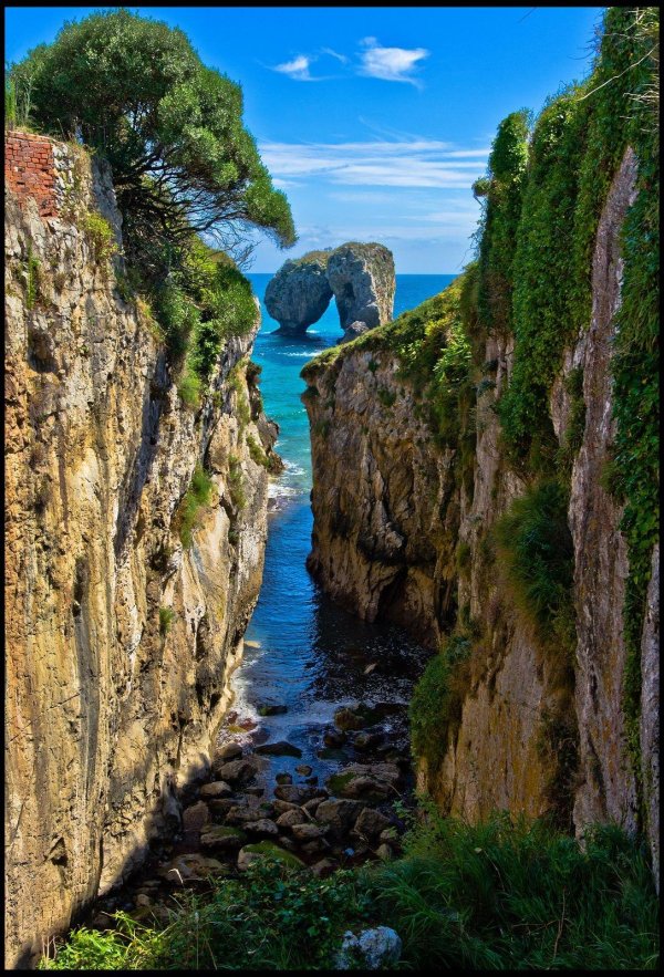 франция утес этрета