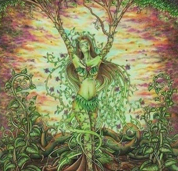 дриады лоран огюст