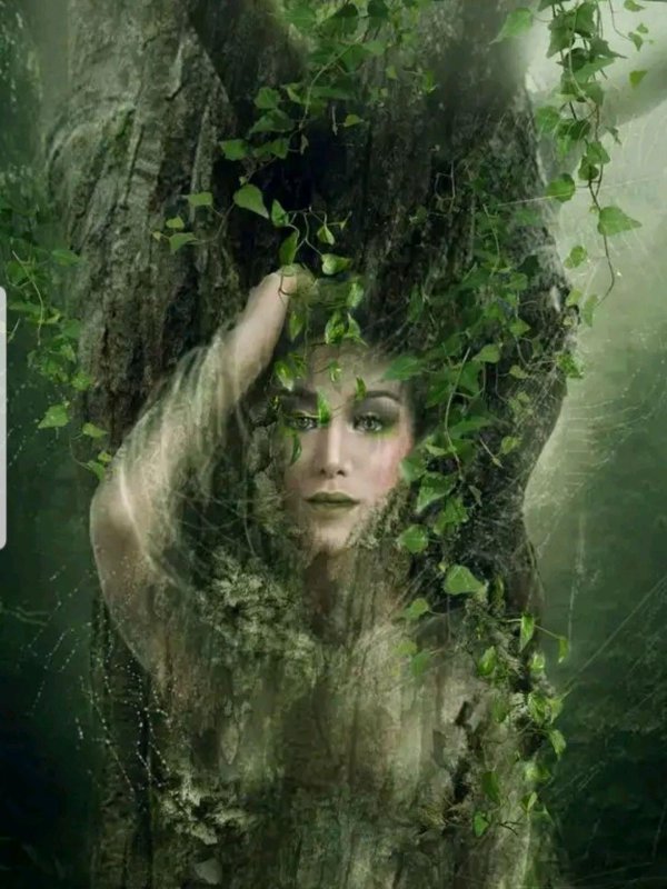 кикимора болотная