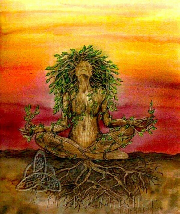 древо жизни сила рода