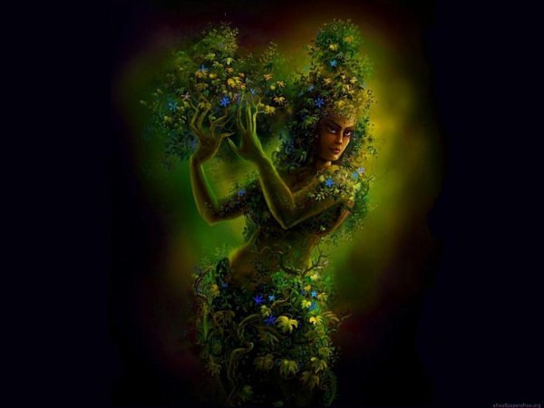 лесная нимфа