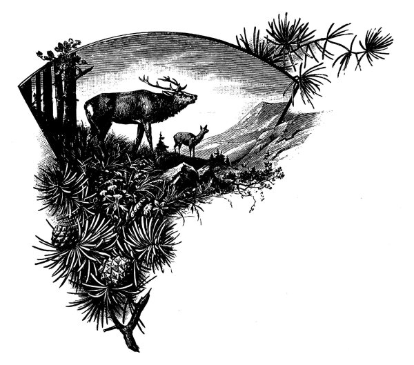 графика природа