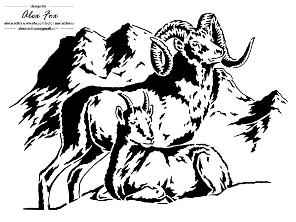 горный баран рисунок