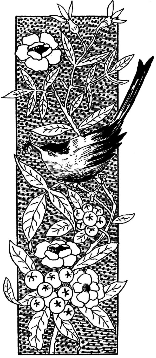 рисунок для выжигания