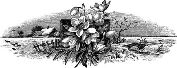 пейзажи для выжигания по дереву