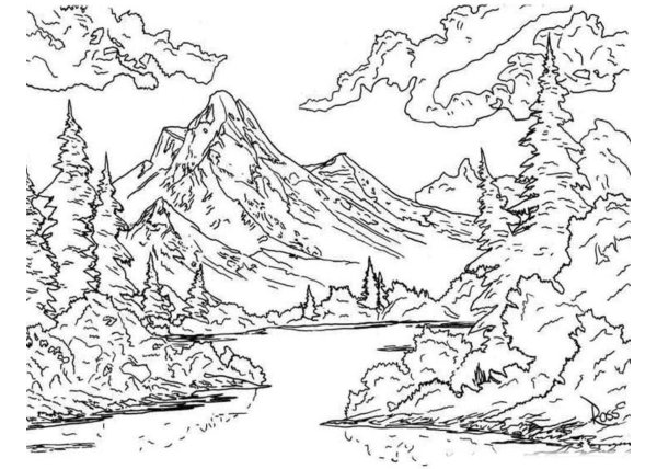 раскраска природа