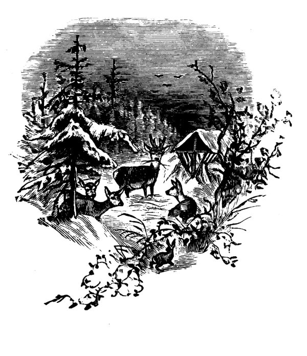 иллюстрации к рассказам