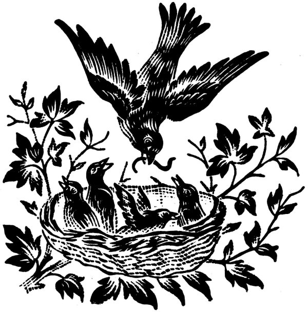 гнездо с птицами