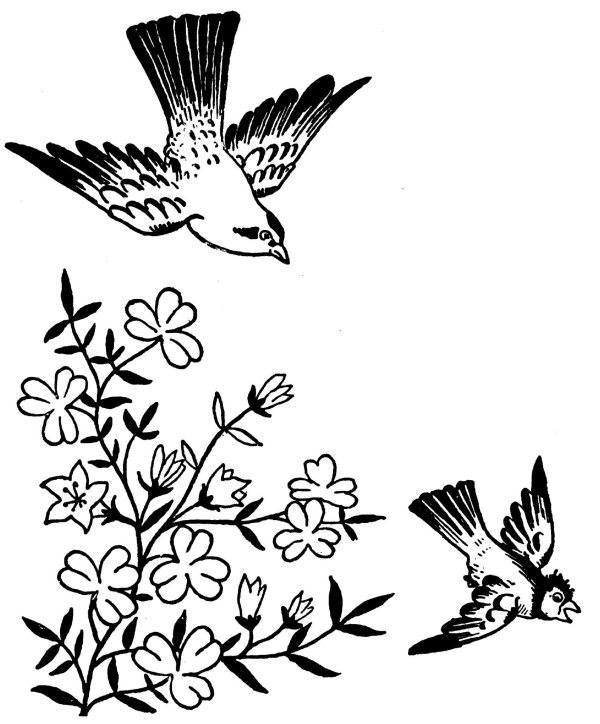 рисунок для выжигания