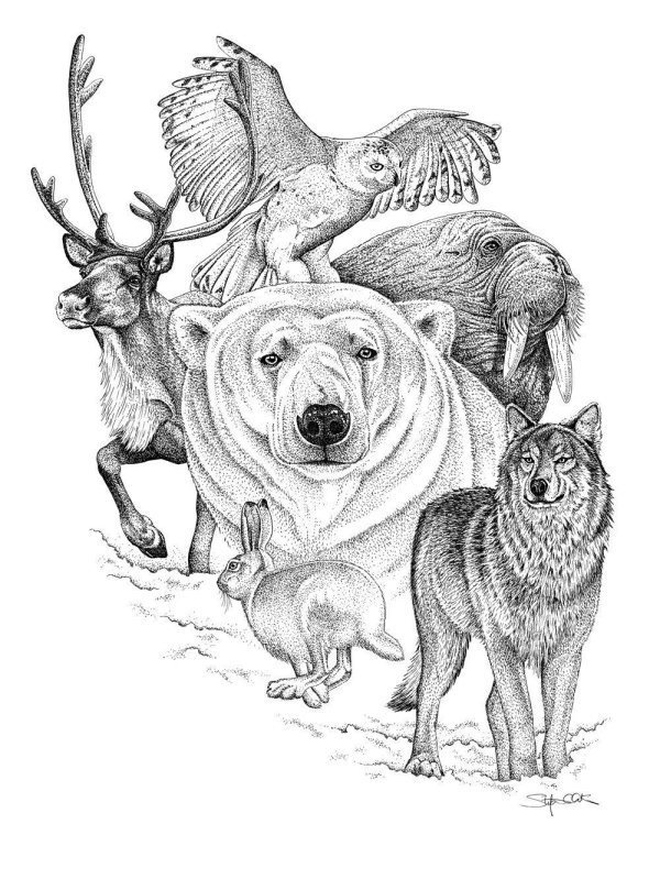 охота зарисовка