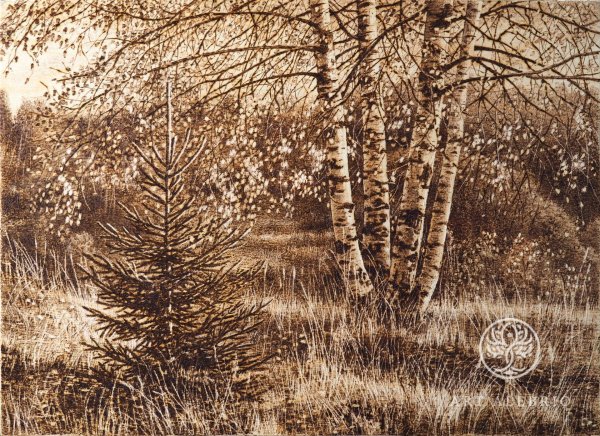 береза картина