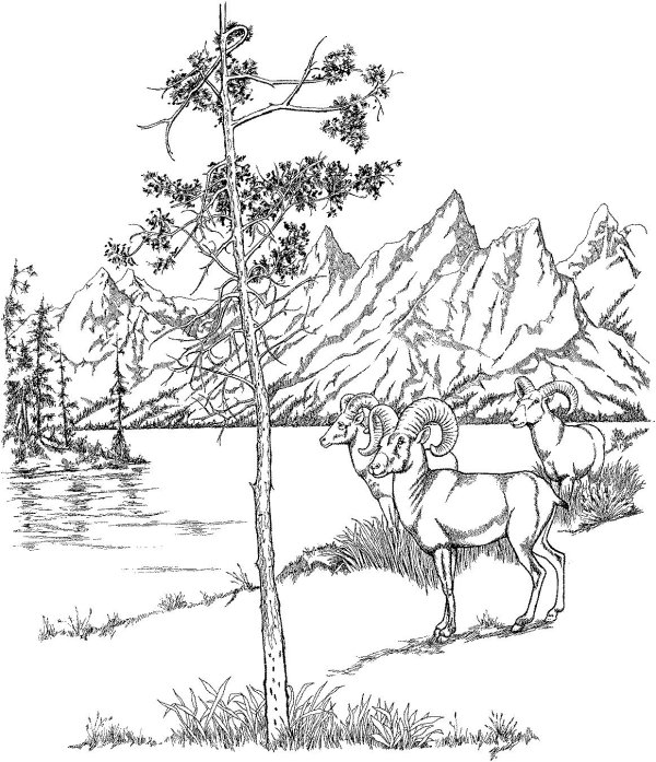 пейзажи для выжигания по дереву