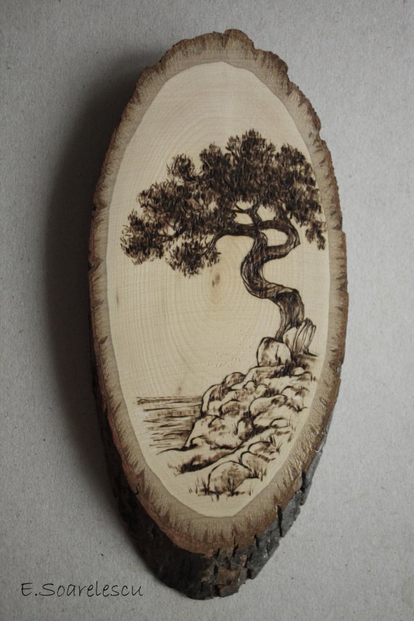 выжигание на спилах