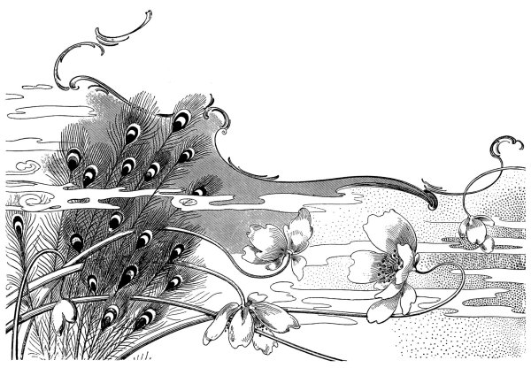 павлин раскраска