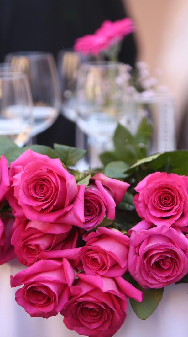 розовые розы