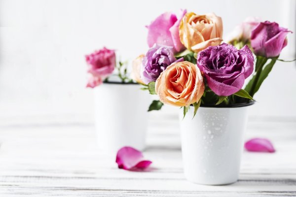 цветок в вазе