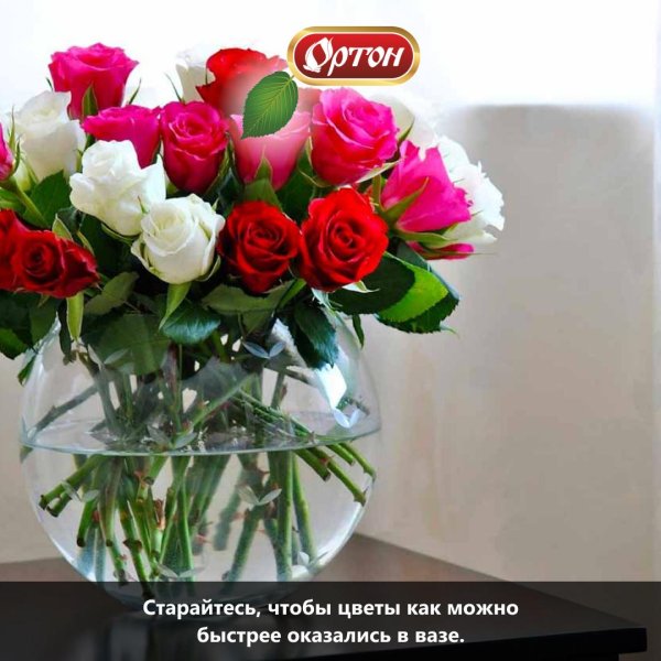 красивые цветы в вазах