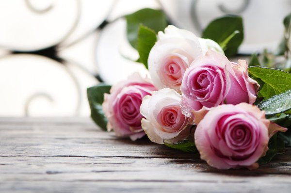 розовая роза