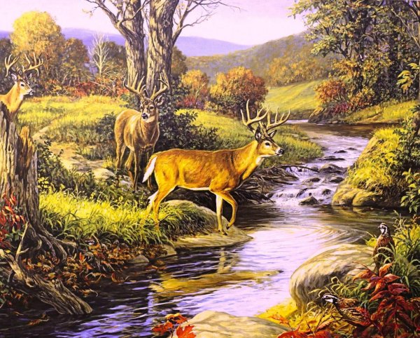 художник розмари миллетт олени