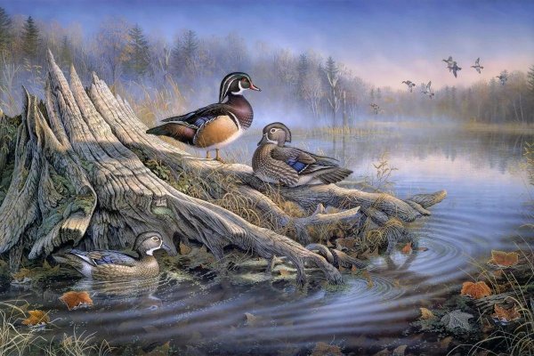 художниканималист терри даути terry doughty