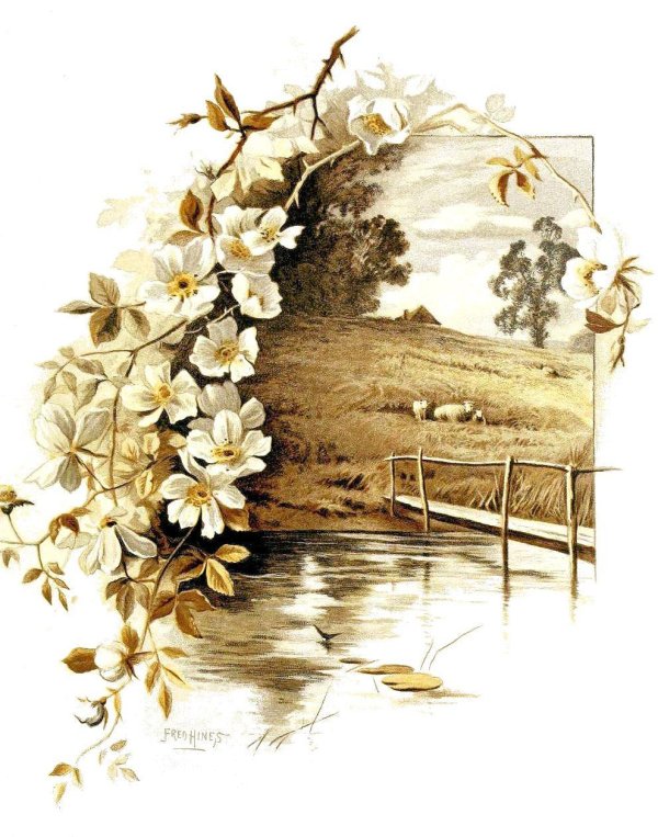 винтажные цветы