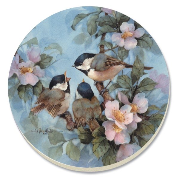 живопись птицы