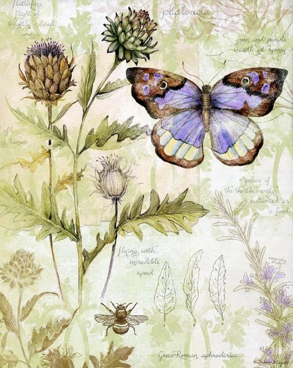 рисовая декупажная карта