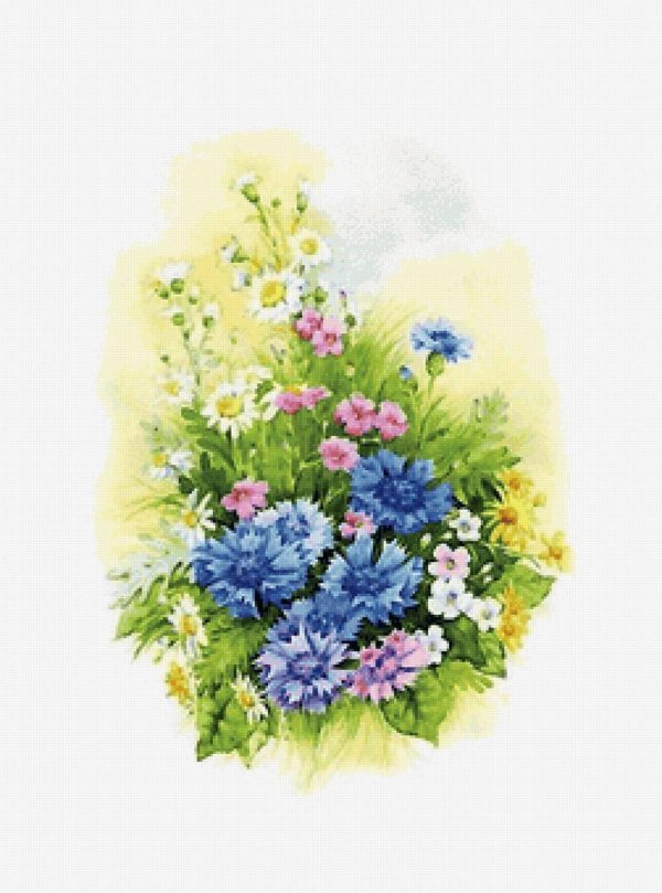 полевые цветы акварель